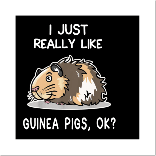 Guinea Pig Lover | I just really like Guinea pig, ok? Posters and Art